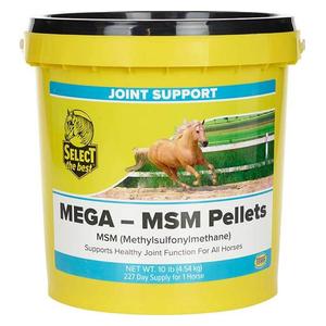Mega-MSM for Horses 10 lb (227 days) - Item # 44175