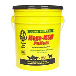 Mega-MSM for Horses 20 lb (454 days) - Item # 44176