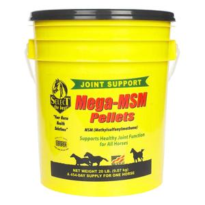 Mega-MSM for Horses 20 lb (454 days) - Item # 44176