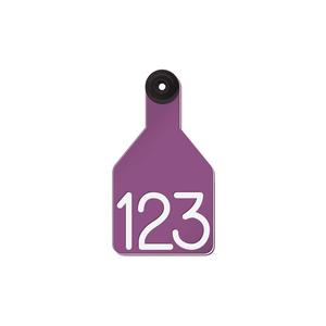 Universal Medium Calf Ear Tags with Engraved Numbers Purple/White Center - Item # 44237