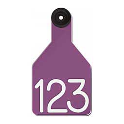 Universal Medium Calf Ear Tags w/ Engraved Numbers Purple/White Center - Item # 44237