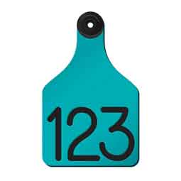 Universal Large Cattle Ear Tags w/ Engraved Numbers Turquoise/Black Center - Item # 44238