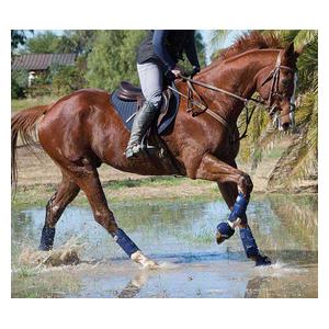 Pro Performance Hybrid Horse Splint Boots Navy - Item # 44243
