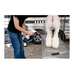 Leg Pop Liquid Sheen and Liniment for Lamb Legs 1 quart - Item # 44338