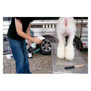 Leg Pop Liquid Sheen and Liniment for Lamb Legs 1 quart - Item # 44338