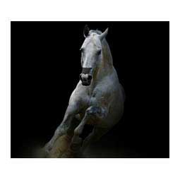 Flair Equine Nasal Strips Black 1 ct - Item # 44395