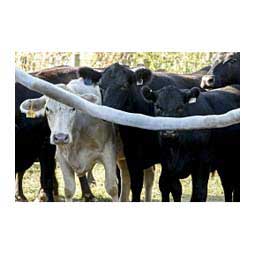 Prozap Bovi-Rub Cattle Fly Control Backrubber 10 ft - Item # 44399