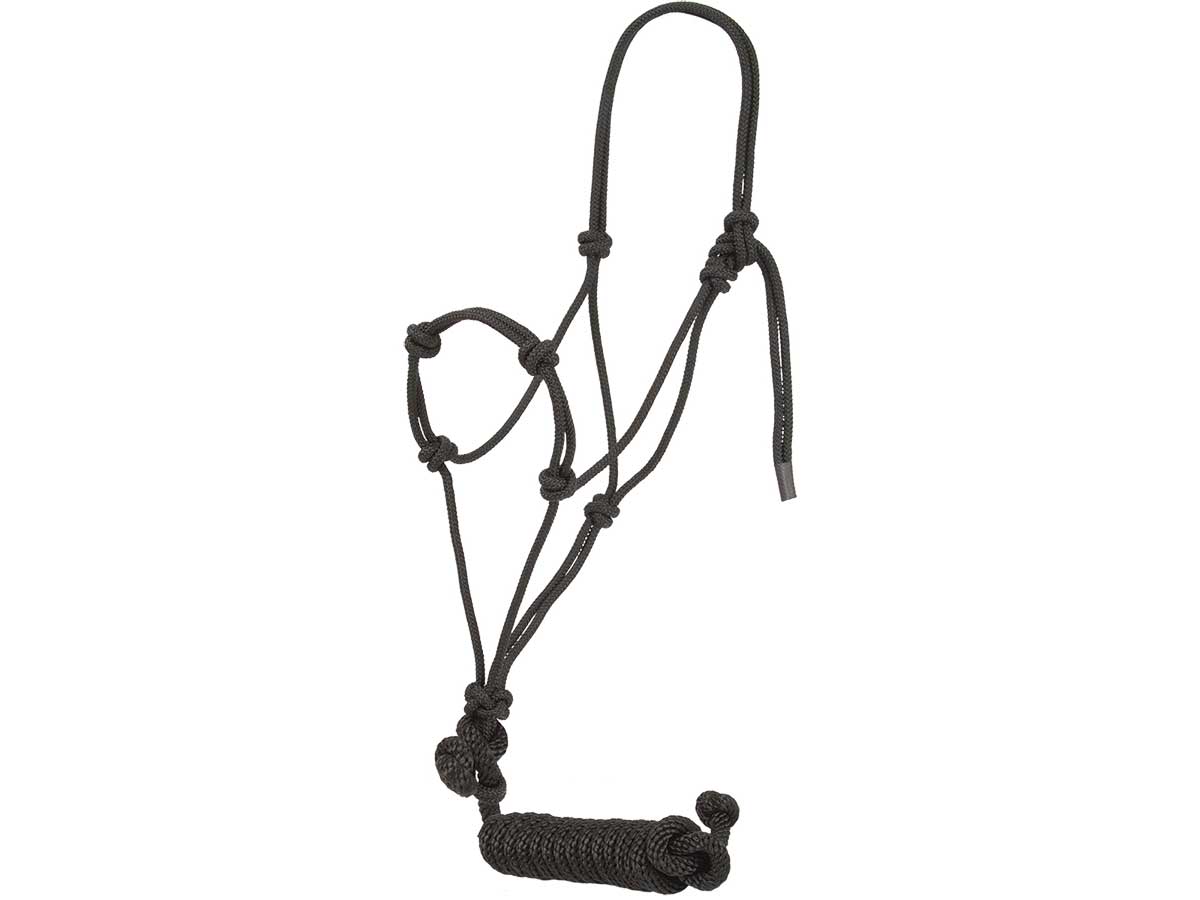 yearling breakaway halter yearling breakaway halter