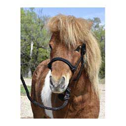 Pony/Mini Economy Mountain Rope Halter w/ Lead Black - Item # 44455