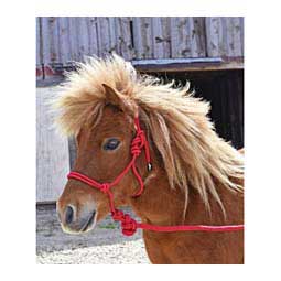 Pony/Mini Economy Mountain Rope Halter w/ Lead Red - Item # 44455