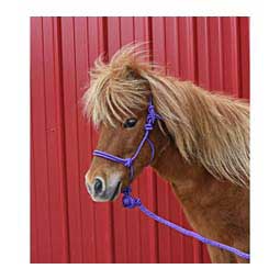 Pony/Mini Economy Mountain Rope Halter w/ Lead Purple - Item # 44455