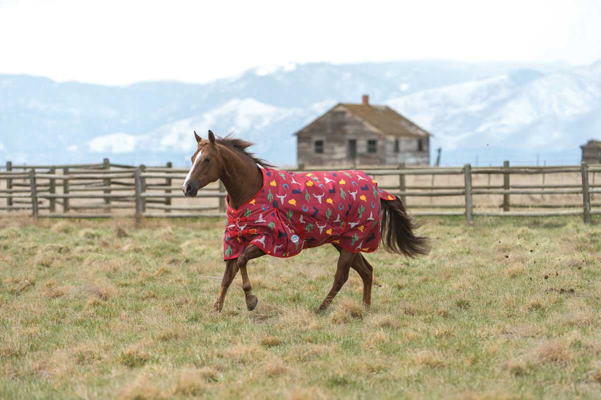 Comfitec Essential Western Print Standard Neck Horse Blanket