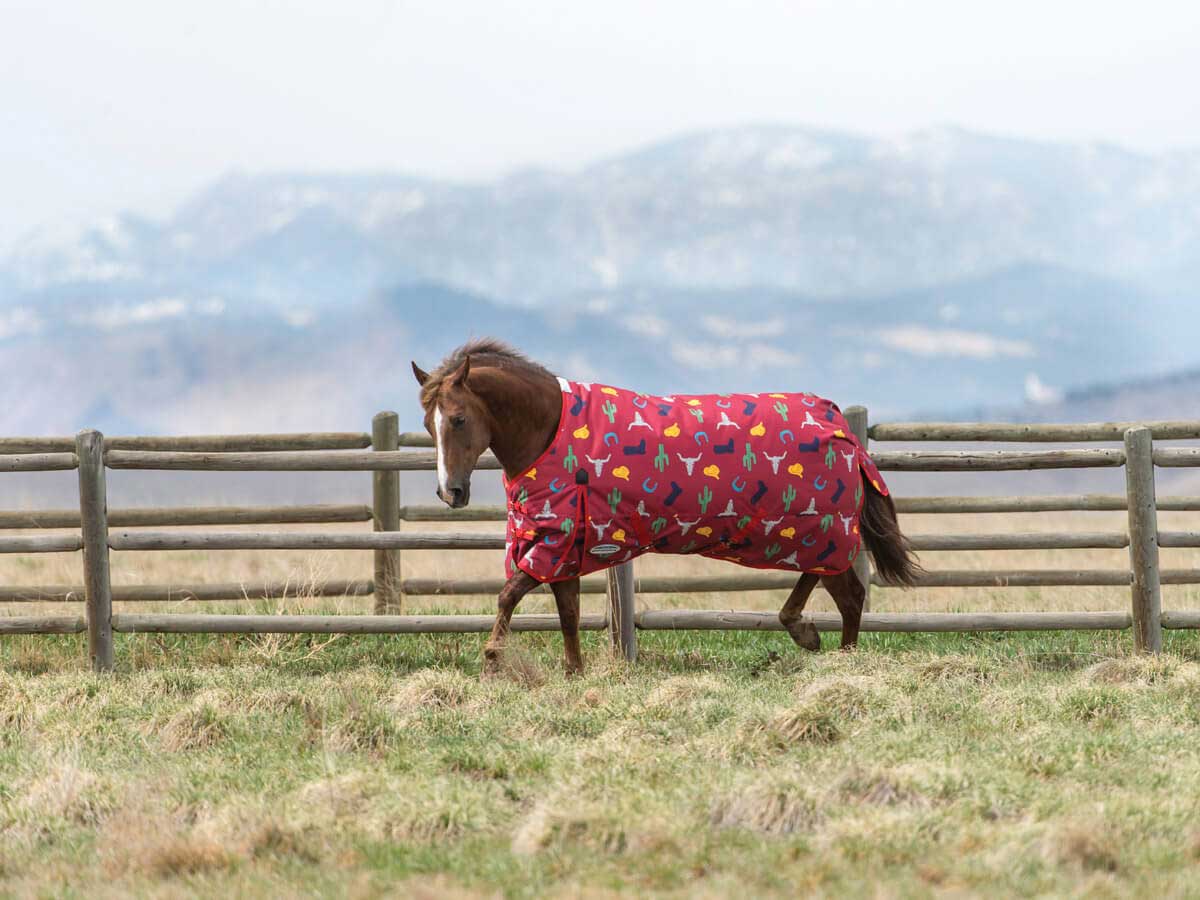Comfitec Essential Western Print Standard Neck Horse Blanket