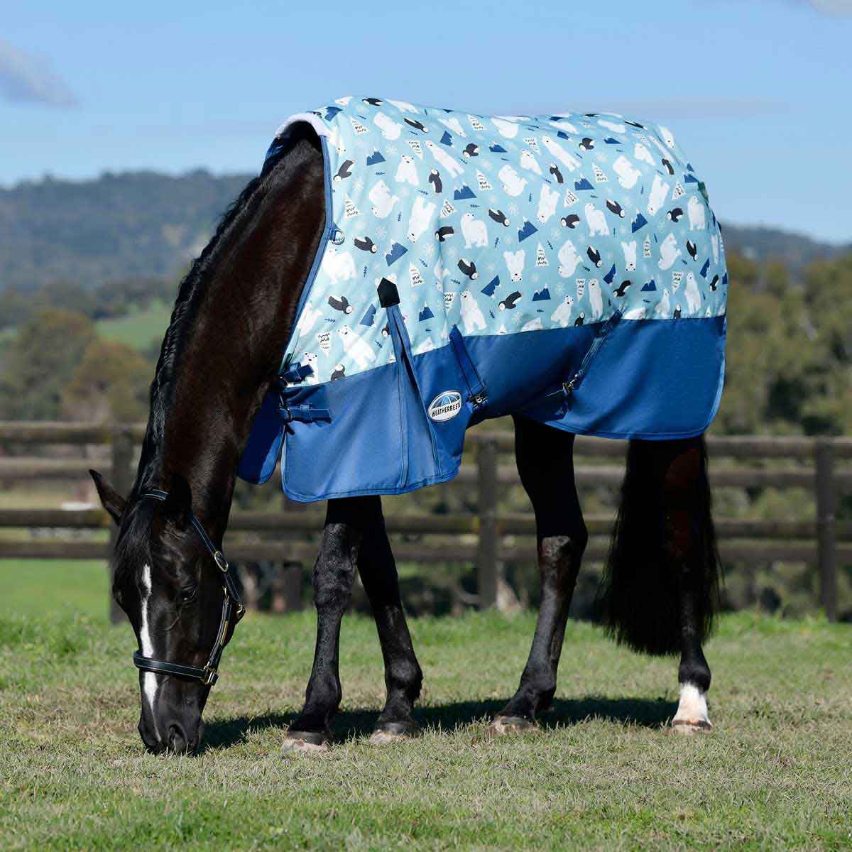 Valley Vet - Comfitec Essential Western Print Standard Neck ...