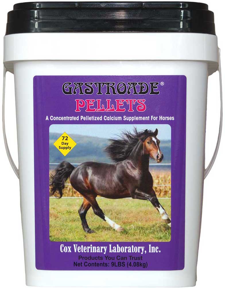 aloe pellets for horses