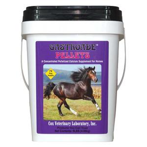 Gastroade Pellets for Horses 9 lb (72 days) - Item # 44620