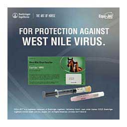 Equi-Jec WNV Equine Vaccine 1 dose syringe - Item # 44650