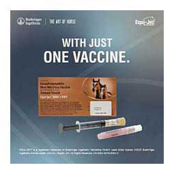 Equi-Jec WNV + EWT (West Nile + 2-way Sleeping Sickness + Tet) Equine Vaccine 1 dose syringe - Item # 44651