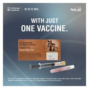 Equi-Jec WNV + EWT (West Nile + 2-way Sleeping Sickness + Tet) Equine Vaccine 1 dose syringe - Item # 44651