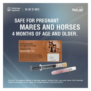 Equi-Jec WNV + EWT (West Nile + 2-way Sleeping Sickness + Tet) Equine Vaccine 1 dose syringe - Item # 44651