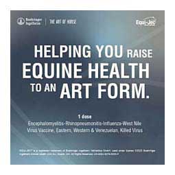 Equi-Jec WNV + EWT (West Nile + 2-way Sleeping Sickness + Tet) Equine Vaccine 1 ds syringe - Item # 44651