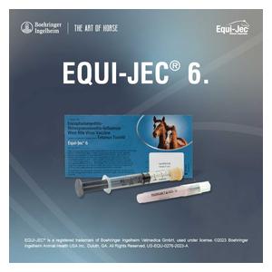 Equi-Jec 6 (West Nile + 2-way Sleeping Sickness + Tet + Flu + Rhino) Equine Vaccine 1 dose syringe - Item # 44653