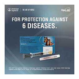 Equi-Jec 6 (West Nile + 2-way Sleeping Sickness + Tet + Flu + Rhino) Equine Vaccine 1 dose syringe - Item # 44653