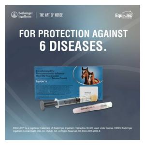 Equi-Jec 6 (West Nile + 2-way Sleeping Sickness + Tet + Flu + Rhino) Equine Vaccine 1 dose syringe - Item # 44653