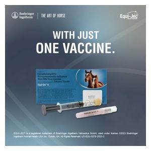 Equi-Jec 6 (West Nile + 2-way Sleeping Sickness + Tet + Flu + Rhino) Equine Vaccine 1 dose syringe - Item # 44653