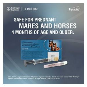 Equi-Jec 6 (West Nile + 2-way Sleeping Sickness + Tet + Flu + Rhino) Equine Vaccine 1 dose syringe - Item # 44653
