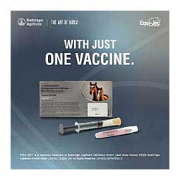 Equi-Jec 7 (West Nile + 3-way Sleeping Sickness + Tet + Flu + Rhino) Equine Vaccine 1 dose syringe - Item # 44654