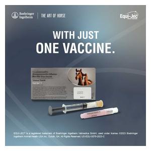 Equi-Jec 7 (West Nile + 3-way Sleeping Sickness + Tet + Flu + Rhino) Equine Vaccine 1 dose syringe - Item # 44654