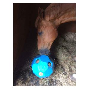 Hay Play Horse Feed Toy Blue - Item # 44717