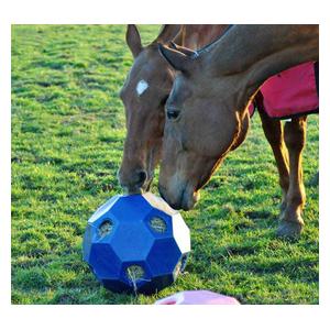 Hay Play Horse Feed Toy Blue - Item # 44717