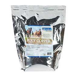 Poly Copper Powder for Horses 10 lb (1814 days) - Item # 44812