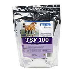 TSF 100 Thyroid Stimulating Factors for Horses 5 lb (75 days) - Item # 44815