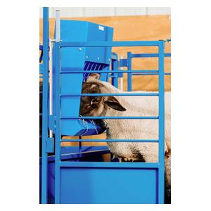 Poly Hay and Grain Feeder for Sheep and Goats 22 x 8 x 24 in - Item # 44837