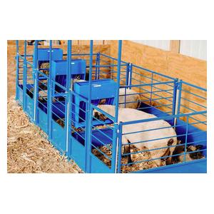 Poly Hay and Grain Feeder for Sheep and Goats 22 x 8 x 24 in - Item # 44837