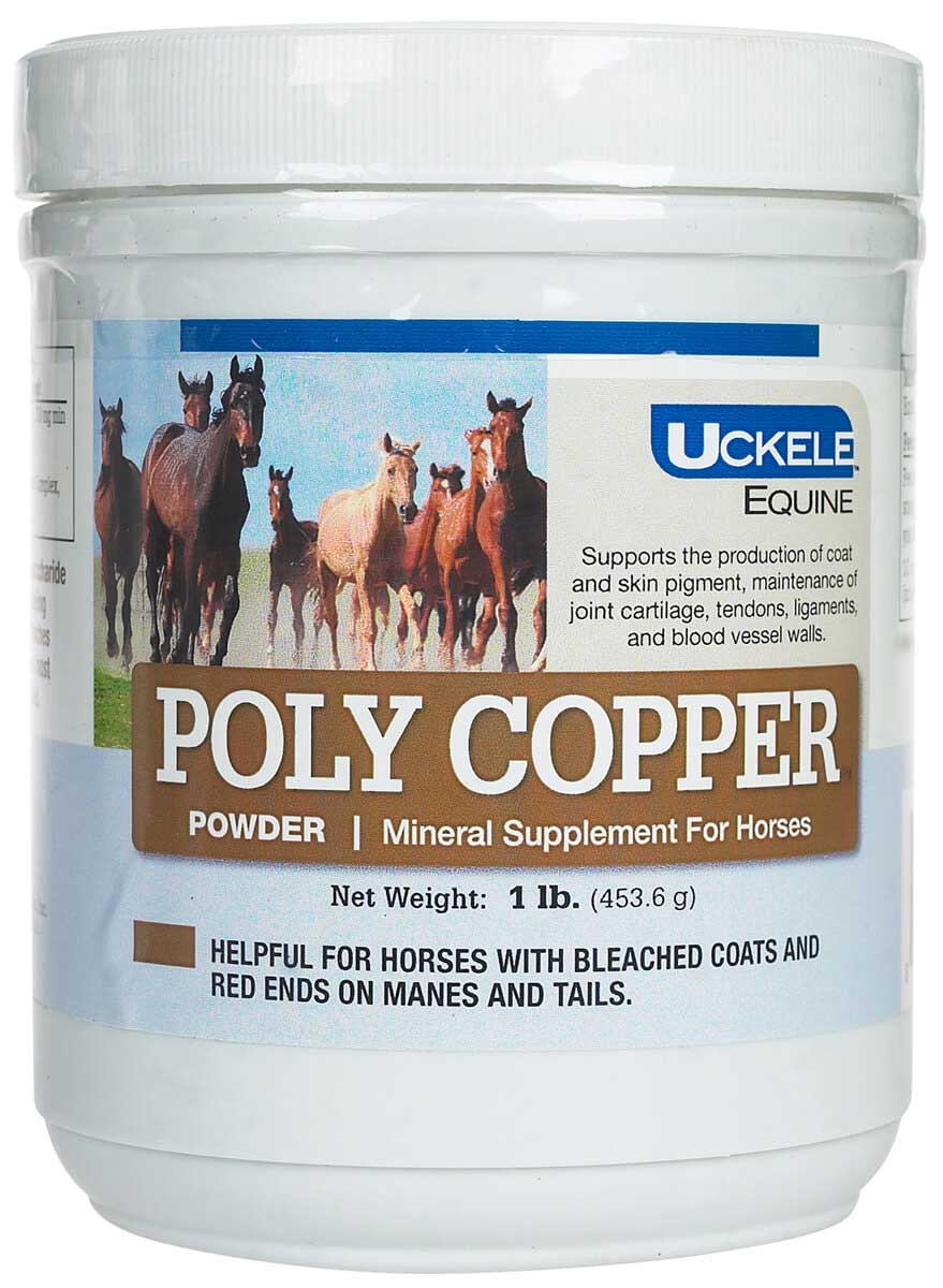 Copper Supplement for Horses: Boost Health and Performance Fast