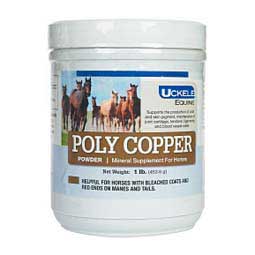 Poly Copper Powder for Horses 1 lb (181 days) - Item # 44877