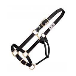 Xtended Life Closure System Breakaway Horse Halter Black - Item # 44890