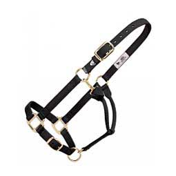 Personalized Xtended Life Closure System Breakaway Horse Halter Black - Item # 44891