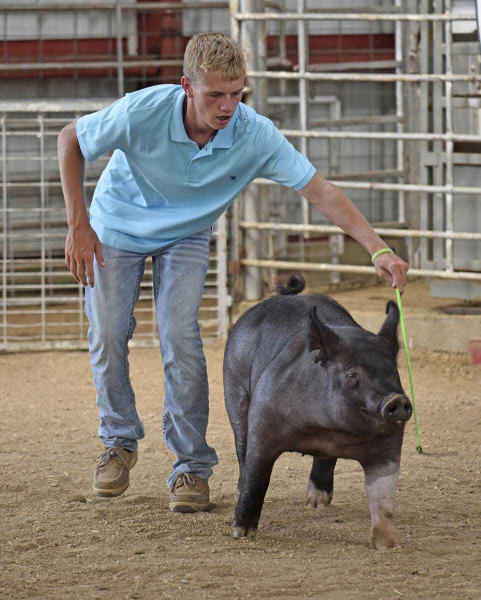 Pig Whip with Replaceable Popper Weaver Livestock - Show Sticks