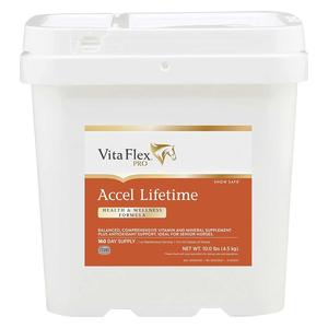 Accel Lifetime Health and Wellness Formula for Horses 10 lb (80-160 days) - Item # 44999
