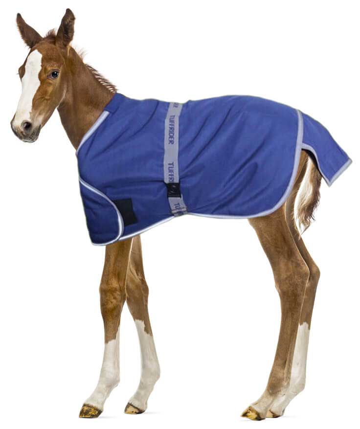 Foal Adjustable Ripstop Turnout Blanket Tuffrider Turnout Blankets