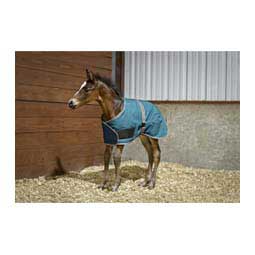 Foal Adjustable Ripstop Turnout Blanket Turquoise - Item # 45021