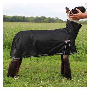 Cool Tech Cooling Blanket for Sheep Black - Item # 45241
