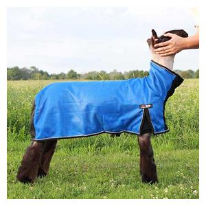 Cool Tech Cooling Blanket for Sheep Blue - Item # 45241