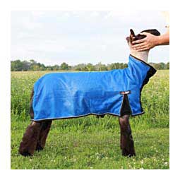 Cool Tech Cooling Blanket for Sheep Blue - Item # 45241