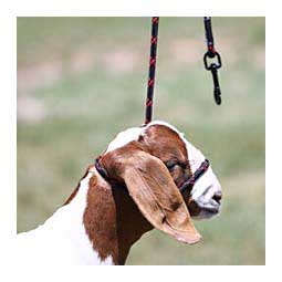 Snap Lead Halter for Goats and Sheep Advantage - Item # 45242